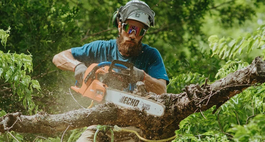 Tree Trimming, Pruning & Tree Care Services